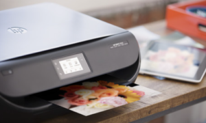 Scan and Copy Features of the HP Envy 4520 Printer